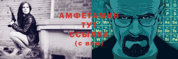 ешки Аркадак