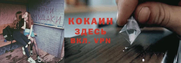дживик Арсеньев