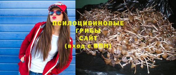 дживик Арсеньев